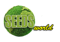 SeedsCannabis - Купить качественные семена конопли